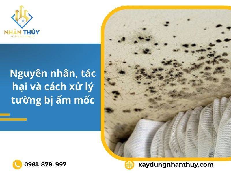 Tường bị ẩm mốc - Nguyên nhân, giải pháp xử lý và ngăn ngừa hiệu quả