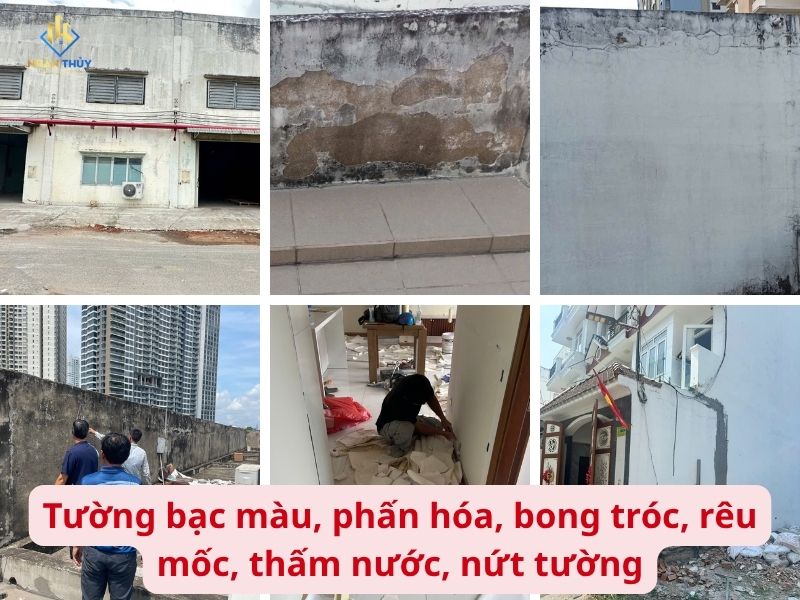 6 hiện trạng tường trước khi sơn: bạc màu, phấn hóa, bong tróc, rêu mốc, thấm nước, nứt