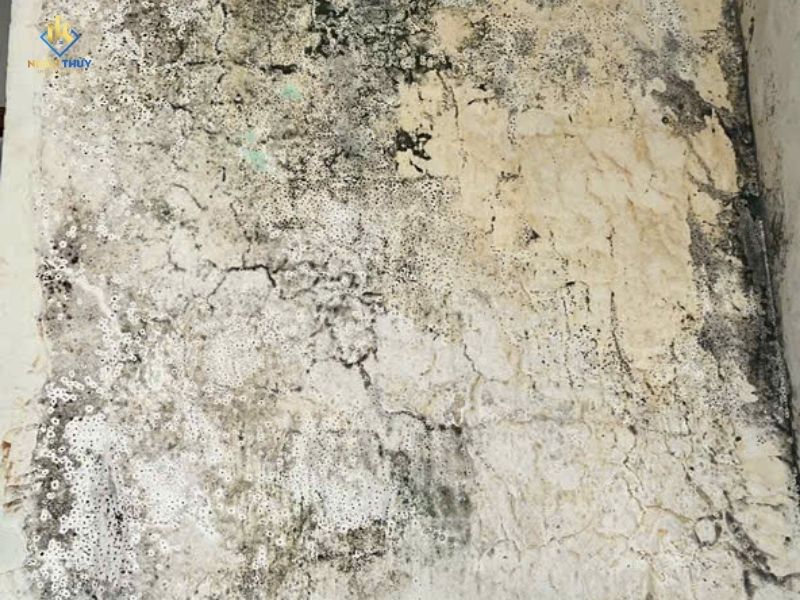 thấm nhà vệ sinh ố đen