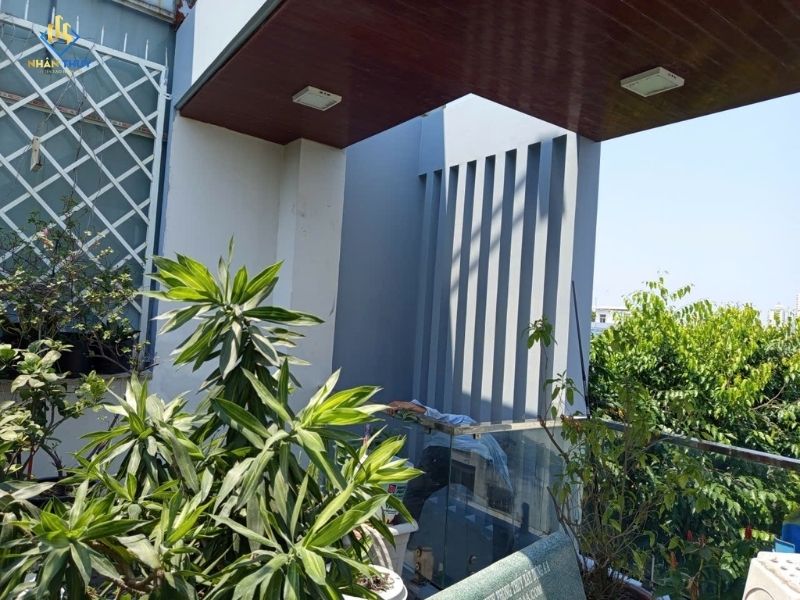 sơn lại trên mái sân thượng có cây xanh