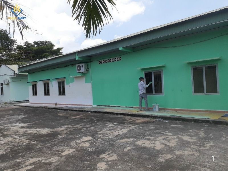 Thợ Nhân Thủy lăn lớp sơn phủ màu hoàn thiện trên tường đã bả matit và sơn lót