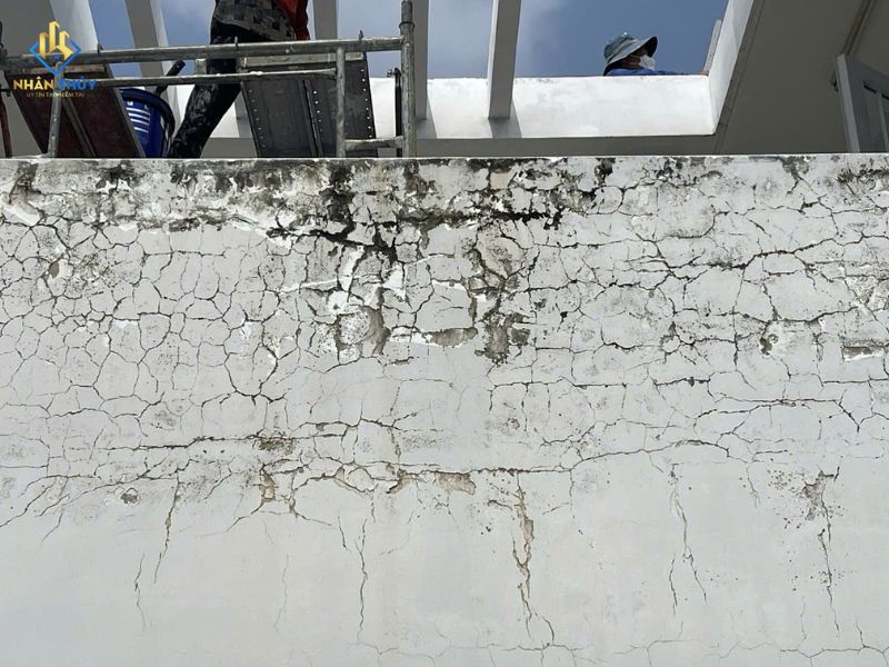tường nứt thấm nguyên trọng