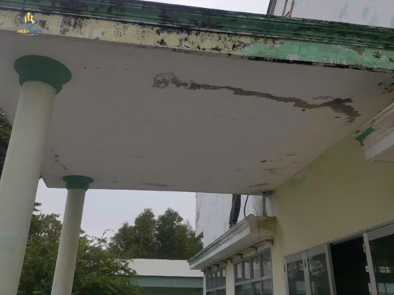 Trần hiên có lớp sơn bong và mảng ố ở mép mái