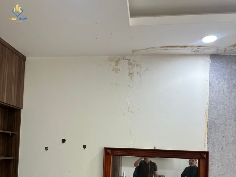 tường thấm rộp phồng lên